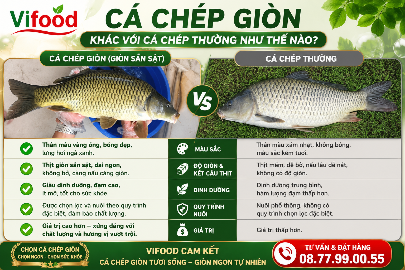 Cá Chép Giòn Khác Với Cá Chép Thường Như Thế Nào? So Sánh Chi Tiết Từ A-Z