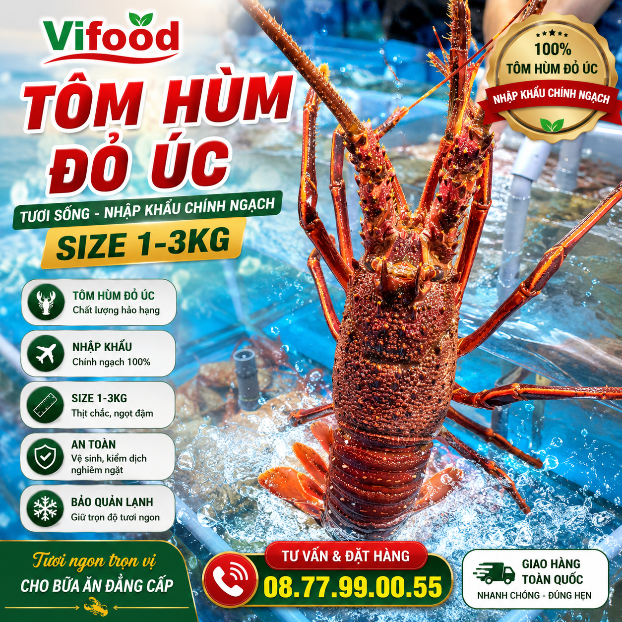 Tôm Hùm Đỏ Úc Nhập Khẩu Size 1–3kg/Con