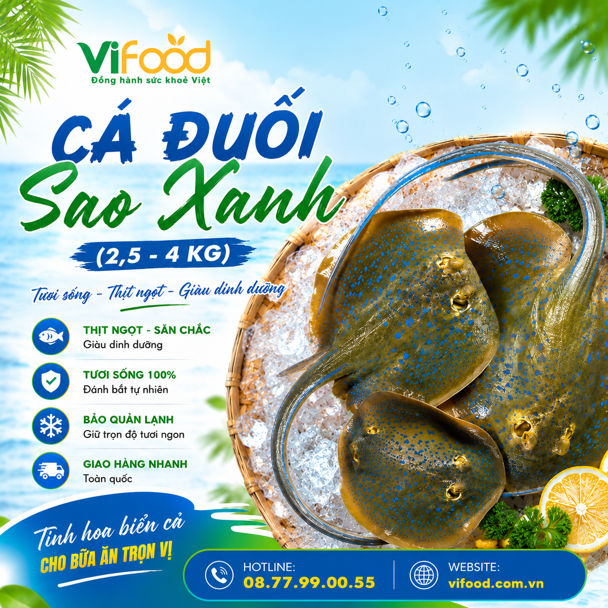 Cá Đuối Sao Xanh 2,5–4Kg Tươi Sống