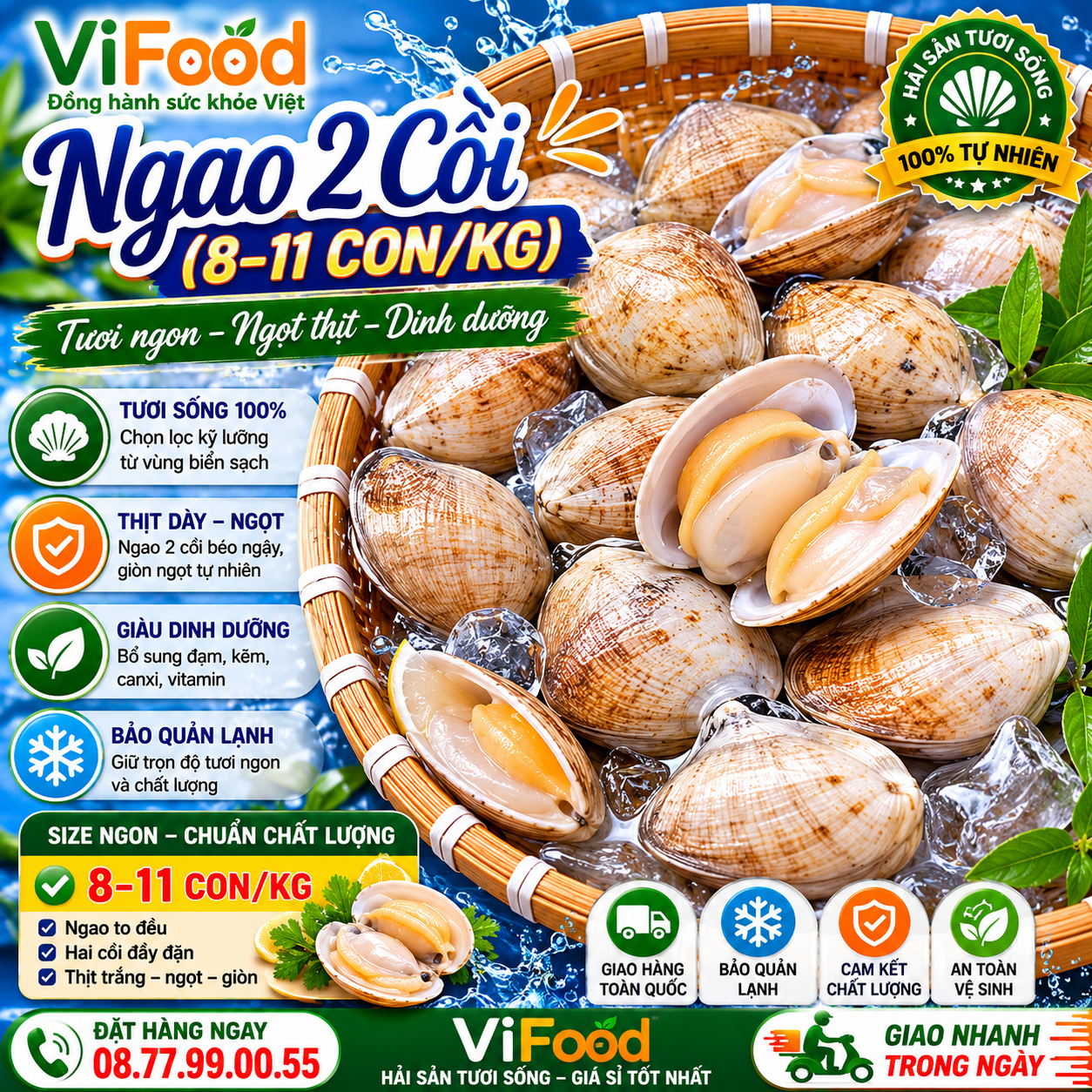 Ngao 2 cồi (8 - 11 con)