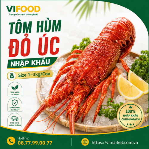 Tôm Hùm Đỏ Úc Nhập Khẩu Size 1–3kg/Con