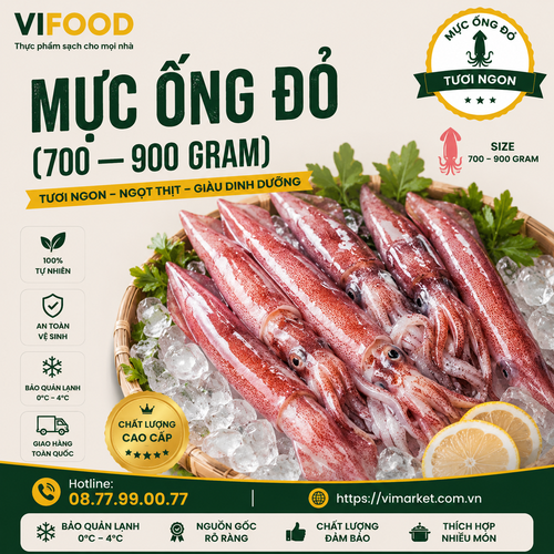 Mực Ống Đỏ (700—900 gram)