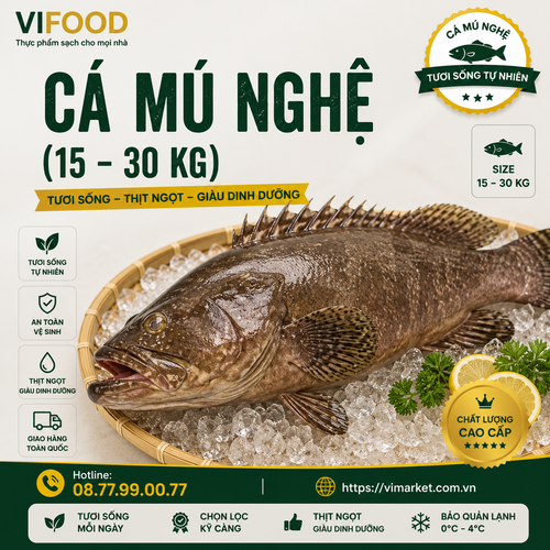 Cá Mú Nghệ (15 - 30 Kg)