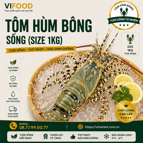 Tôm Hùm Bông sống (size 1kg)