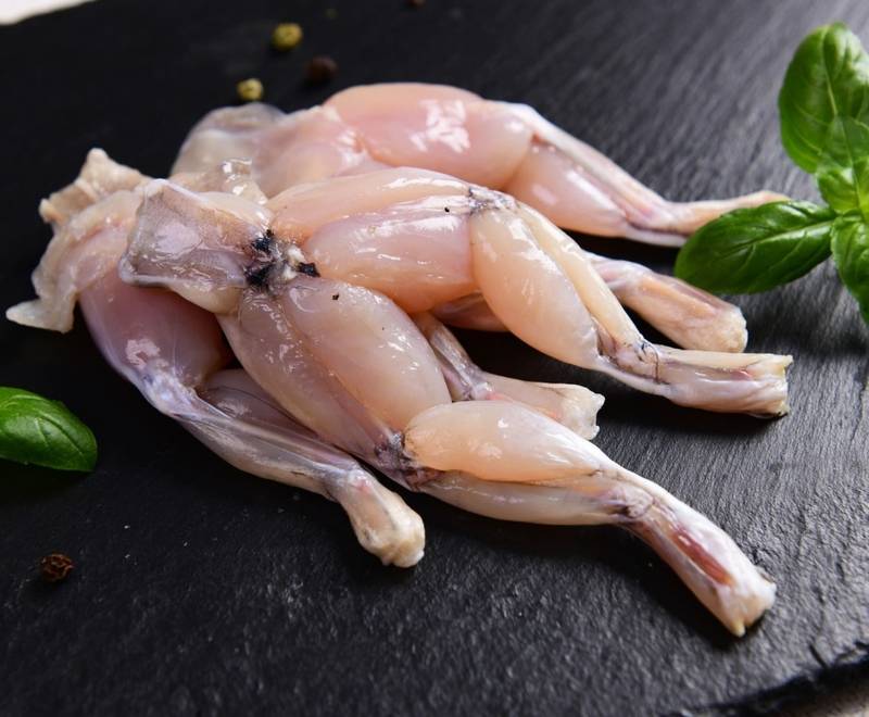 Giá ếch thịt hôm nay bao nhiêu? Cập nhật giá ếch nuôi, ếch đồng mới nhất