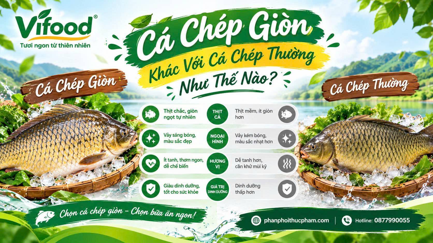 Cá Chép Giòn Khác Với Cá Chép Thường Như Thế Nào? So Sánh Chi Tiết Từ A-Z