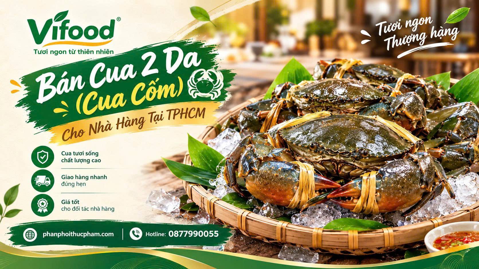 Bán Cua 2 Da (Cua Cốm) Cho Nhà Hàng Tại TPHCM