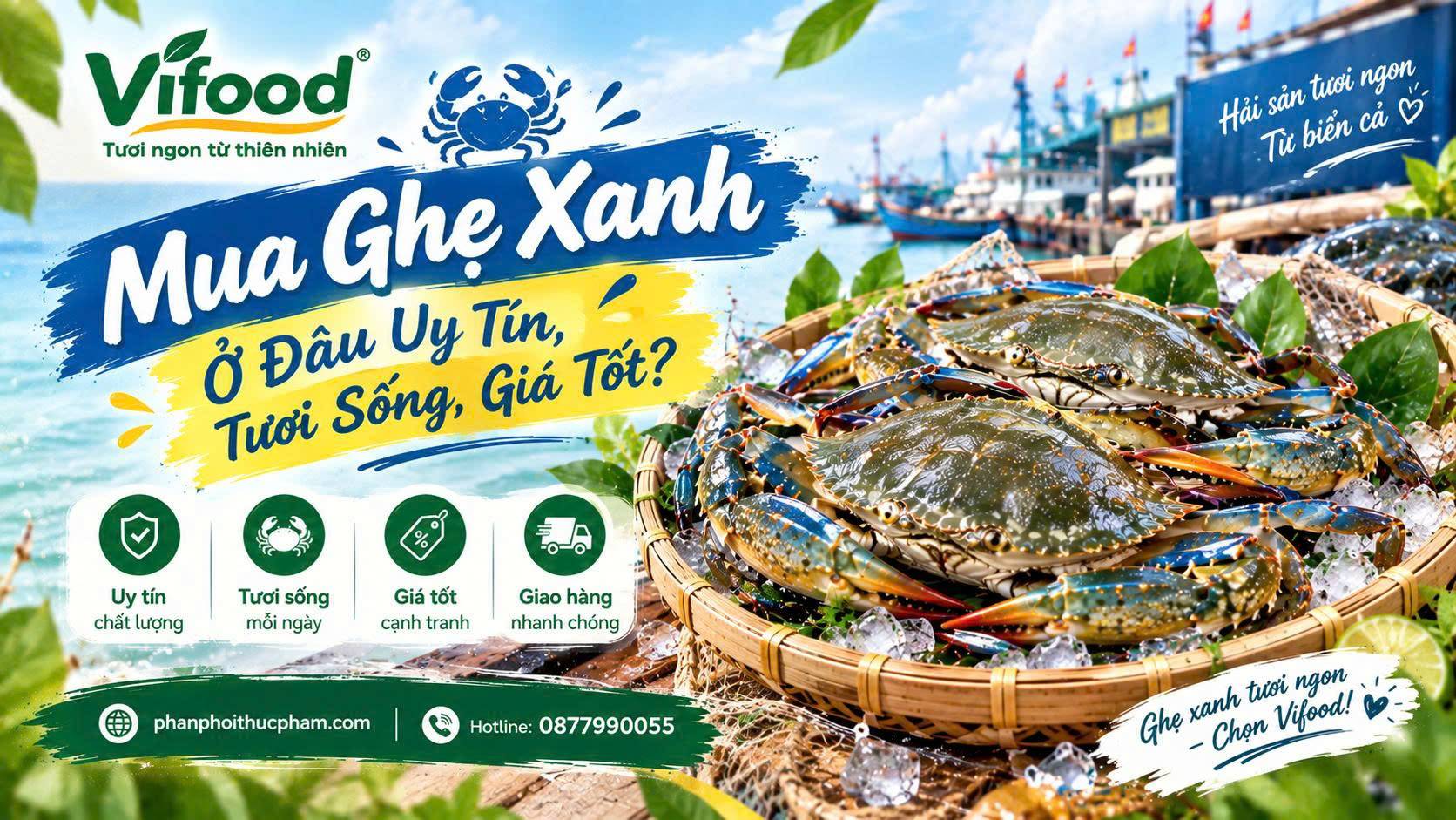 Ghẹ Xanh Giá Rẻ Nhất Thị Trường: Mua Ở Đâu Uy Tín, Tươi Sống, Giá Tốt?