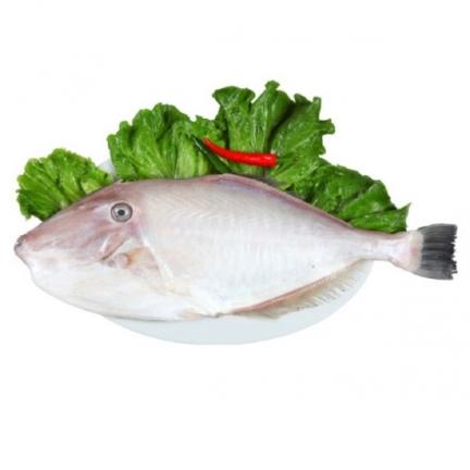 grocery