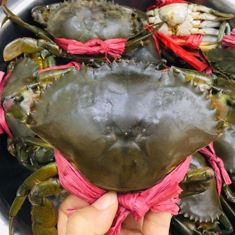 Cua cốm cua hai da