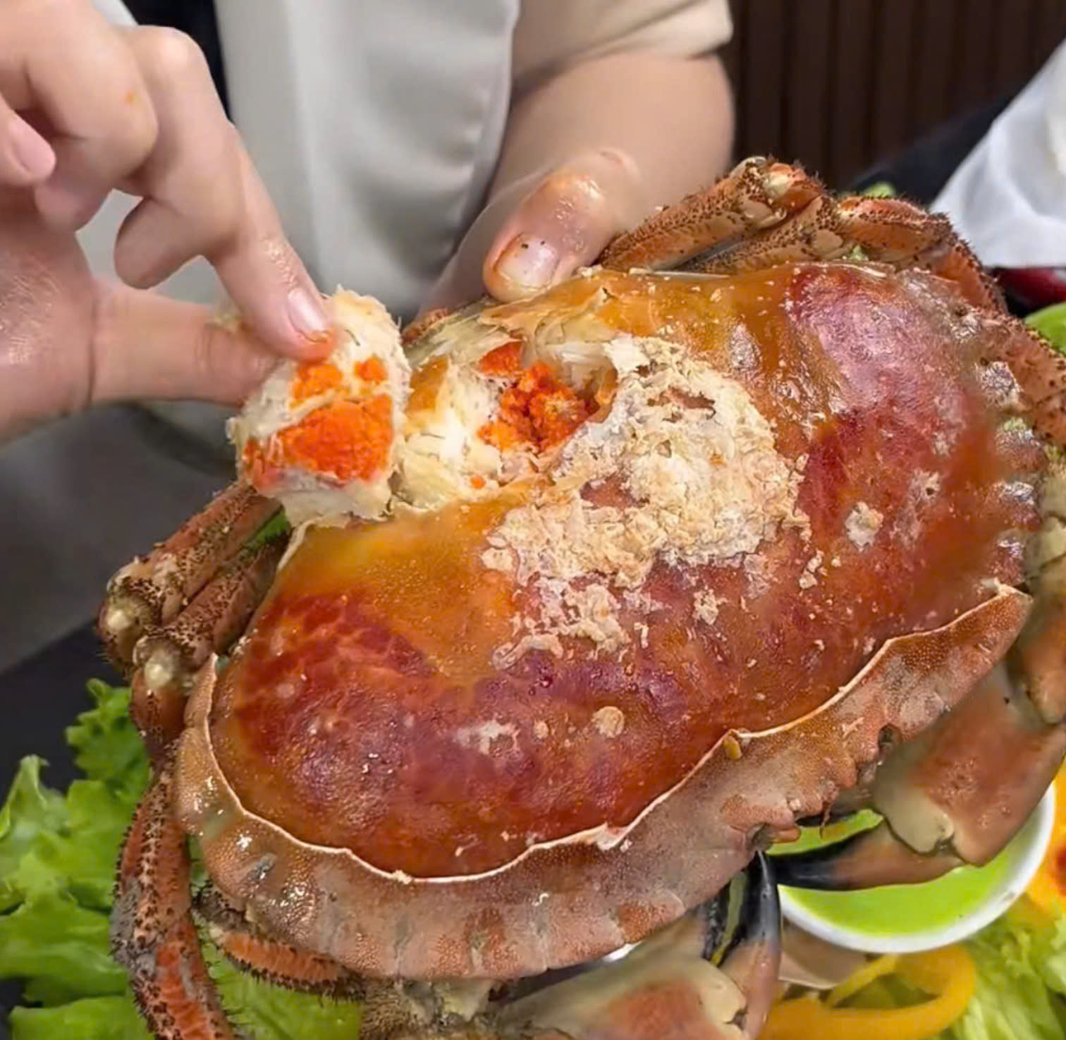 Đặc điểm cua nâu Na Uy