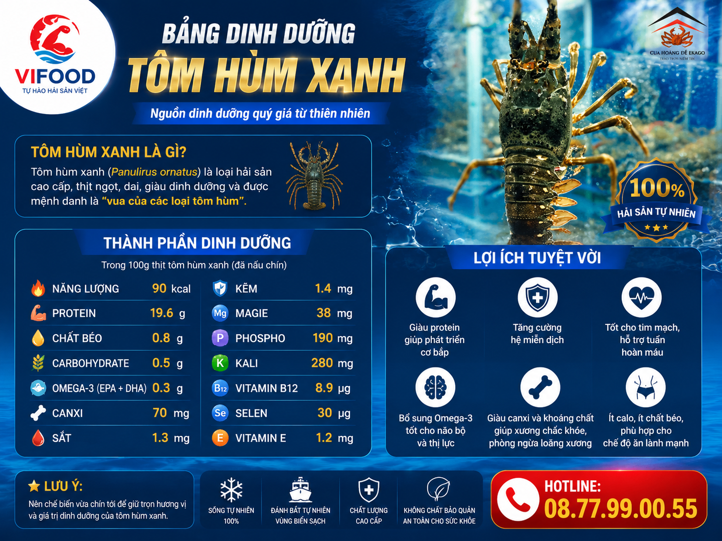 Dinh dưỡng tôm hùm xanh