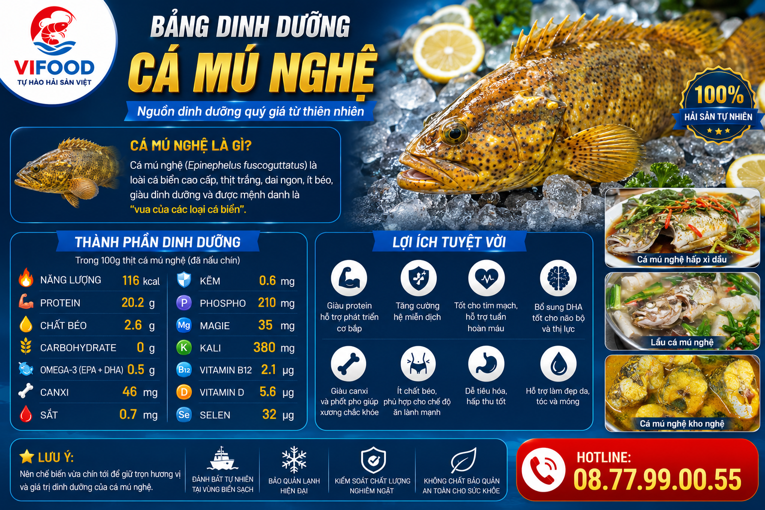 Giá trị dinh dưỡng cá mú nghệ