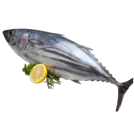 grocery
