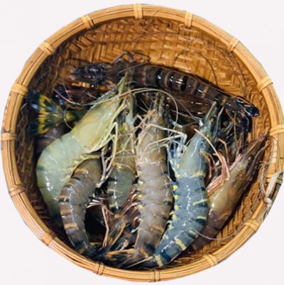 Cập nhật bảng giá hải sản tươi sống hôm nay tại Vifoods